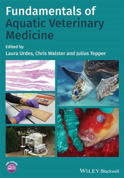 aquatic vet near me|Aquatic Animal Health » College of Veterinary Medicine » .